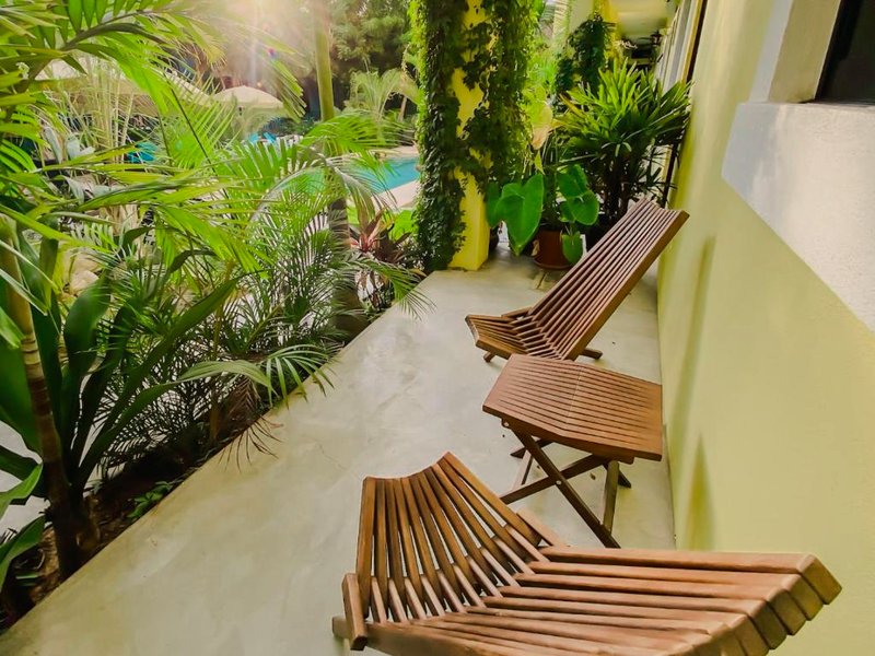 Gallo Azul Hotel, en el corazón de Todos Santos (Gallo Azul Hotel, en el corazon de Todos Santos)の写真