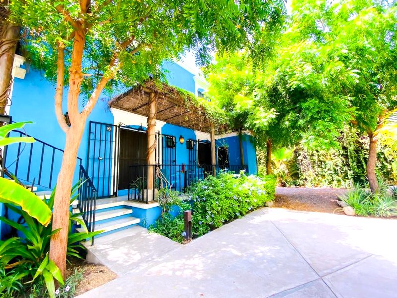 Gallo Azul Hotel, en el corazón de Todos Santos (Gallo Azul Hotel, en el corazon de Todos Santos)の写真