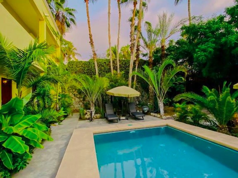 Gallo Azul Hotel, en el corazón de Todos Santos (Gallo Azul Hotel, en el corazon de Todos Santos)の写真