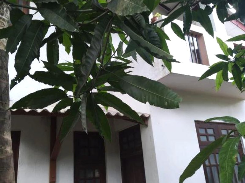 ［アサーウージリヤ］一軒家（1000m²）｜ 2ベッドルーム／1バスルーム (Q3 Homestay)の写真
