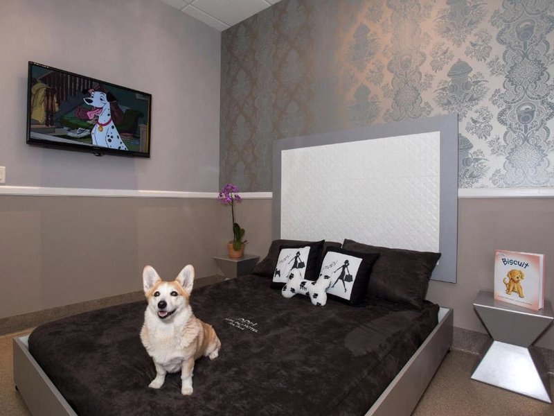 Freer Motelの写真