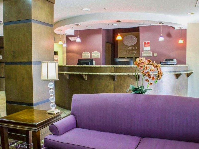 コンフォート スイーツ (Comfort Suites)の写真