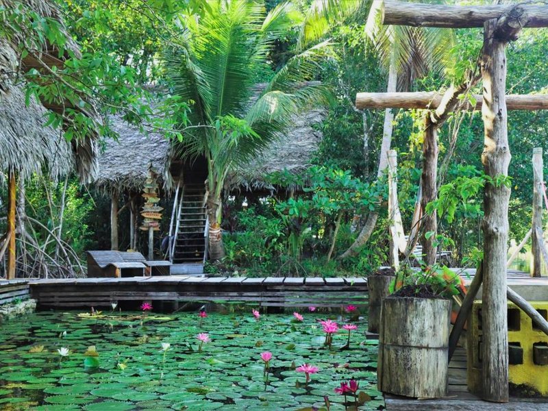 El Hotelito Perdidoの写真