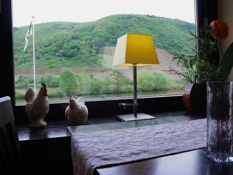 Moselhotel & Restaurant Zur Traube GmbHの写真