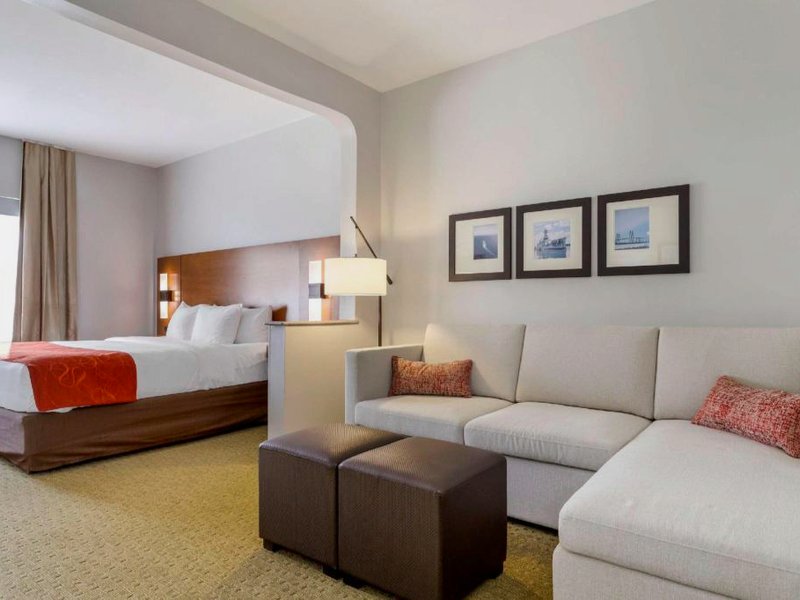 Comfort Suites La Porte - Baytownの写真