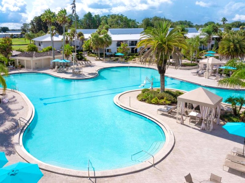 サドルブルック リゾート&スパ (Saddlebrook Resort & Spa)の写真