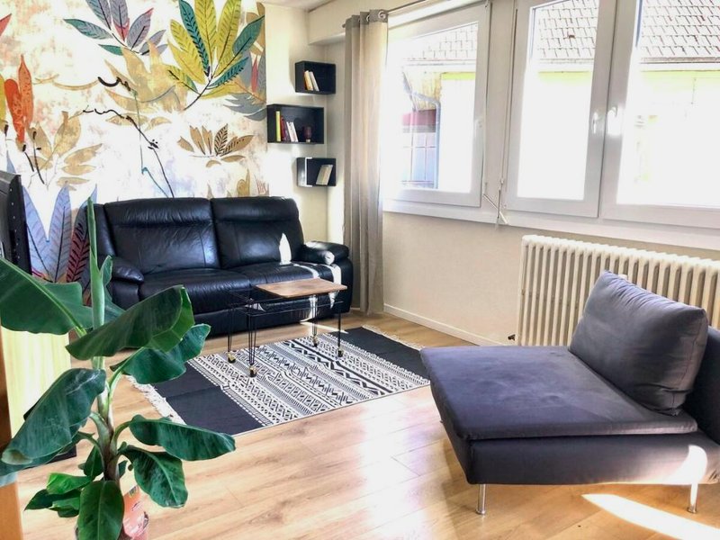［メシュ］アパートメント（85m²）｜ 2ベッドルーム／1バスルーム (Appartement cosy et familial)の写真