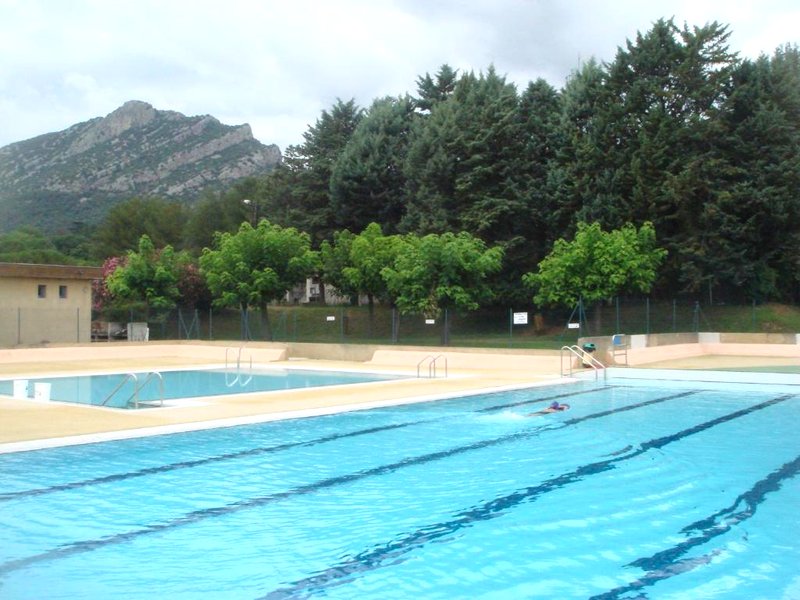 Les Asphodèles (Les Asphodeles)の写真