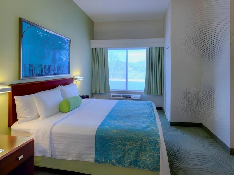 スプリングヒル スイーツ サンディエゴ ランチョ ベルナルド/スクリップス ポウェイ (SpringHill Suites San Diego Rancho Bernardo/Scripps Poway)の写真