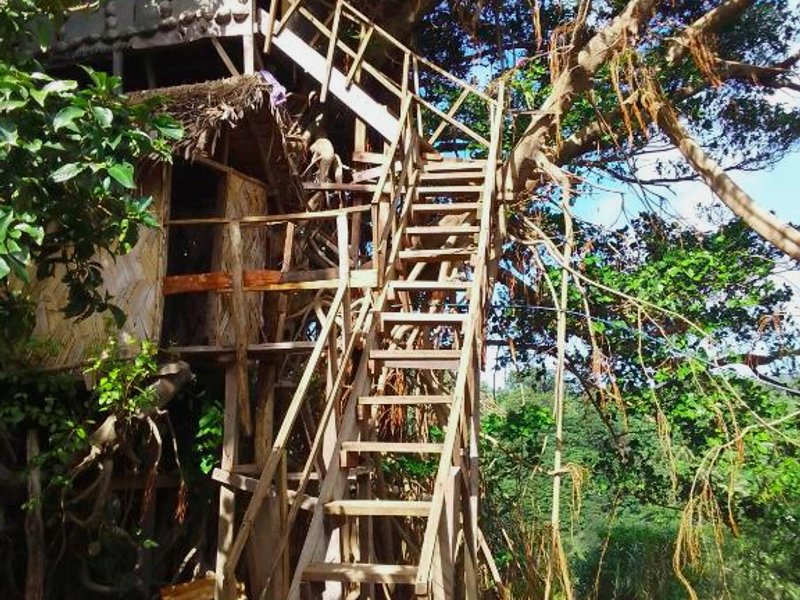 Home stay tree houseの写真