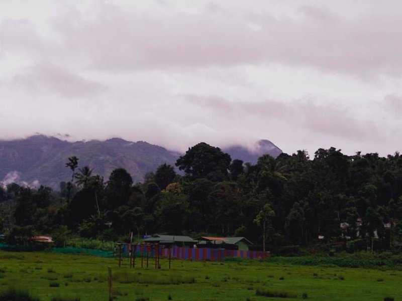 ［クーダルール］一軒家（40m²）｜ 1ベッドルーム／1バスルーム (Jungle Homestay near Bandipur Mudumalai Masinagudi)の写真