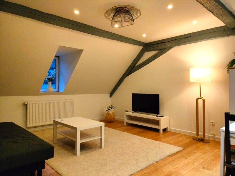 Home Sweet Home WiFi, TV Access, Strasbourg 25minの写真
