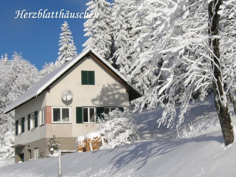 Urlaub am Bauernhof Grabenhoferの写真