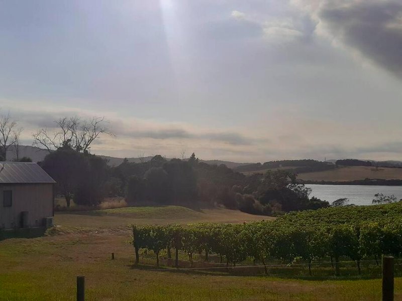 NEST- Luxury Vineyard Accommodationの写真