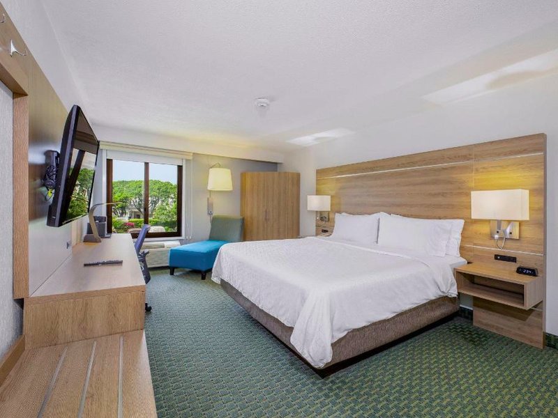 ホリデイ イン エクスプレス サンホセ コスタリカ エアポート ホテル バイ IHG (Holiday Inn Express San Jose Costa Rica Airport Hotel By IHG)の写真