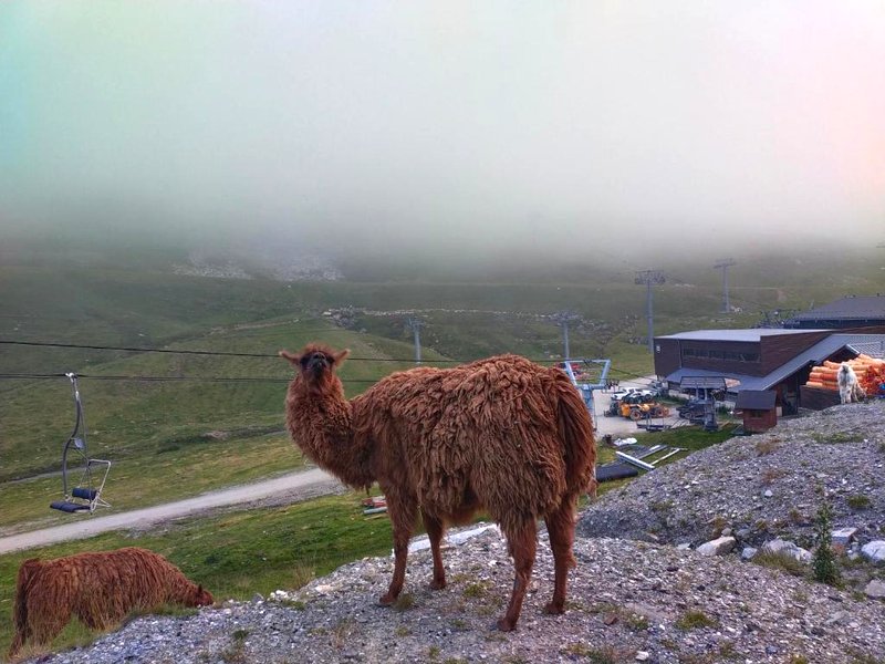Le petit studio du Tourmalet pied des pistes - La Mongieの写真