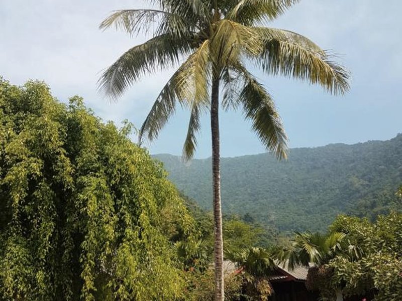 Lattanavongsa guesthouse and Bungalowsの写真
