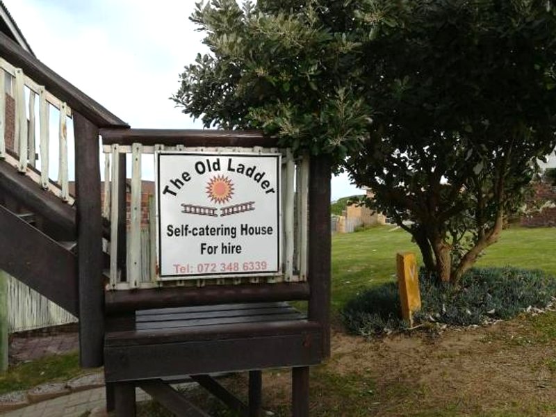 Old Ladderの写真
