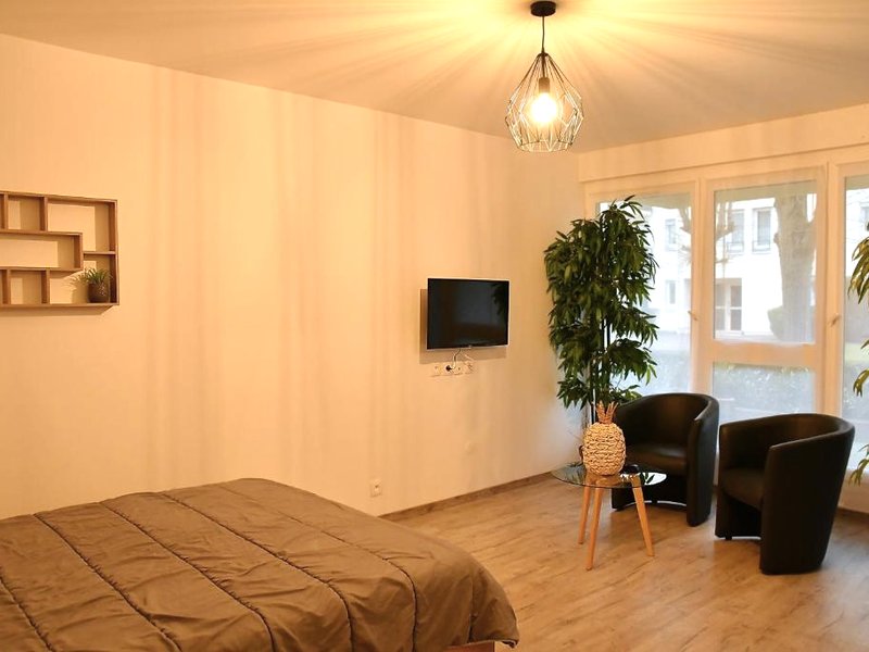 Appartement Tropical et JACUZZI Balnéothérapie Draveil (Appartement Tropical et JACUZZI Balneotherapie Draveil)の写真