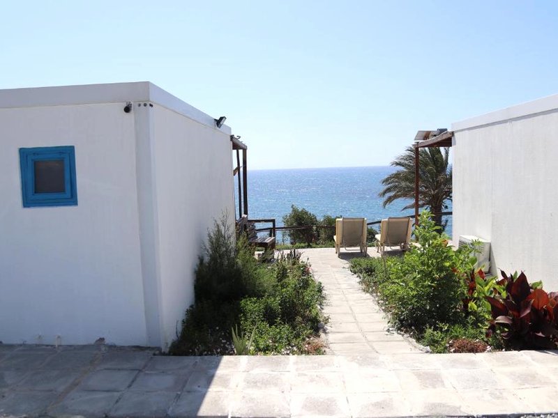Summer Dream Cyprusの写真