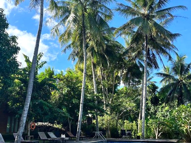 リバーハウス リゾート (Riverhouse Resort)の写真