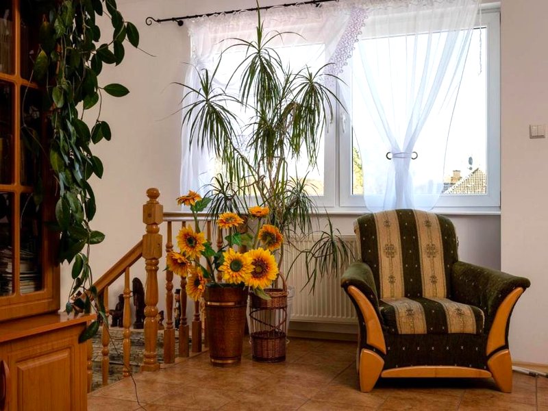 Agroturystyka Gawryś pokoje (Agroturystyka Gawrys pokoje)の写真