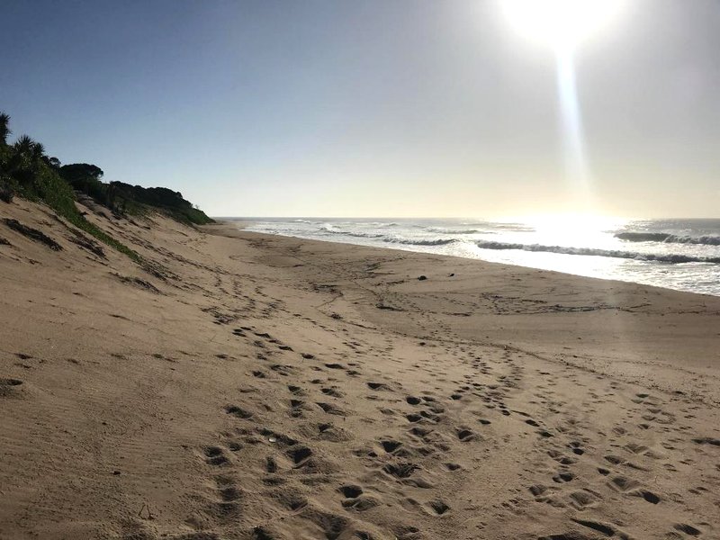 ［クワズールー ナタール］アパートメント（100m²）｜ 1ベッドルーム／2バスルーム (Milkwood - romantic coastal beach eacape)の写真