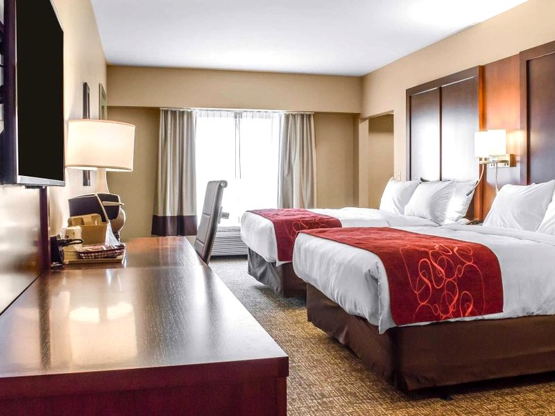 コンフォート スイーツ マンハイム ランカスター (Comfort Suites Manheim - Lancaster)の写真