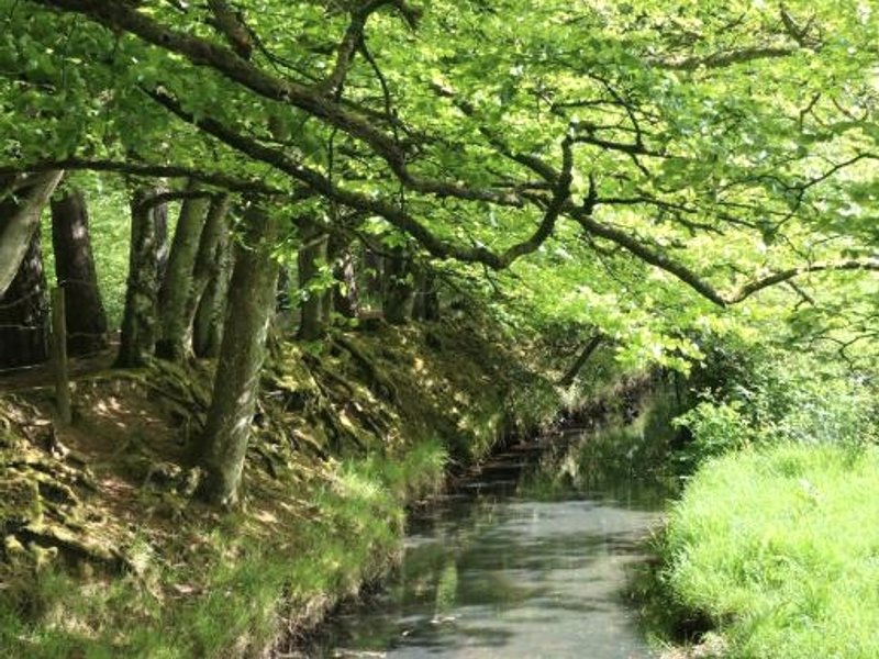 Secluded Hand Crafted Log Cabinの写真