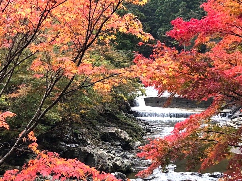 民宿かわらび荘 (Minshuku Kawarabi-so)の写真