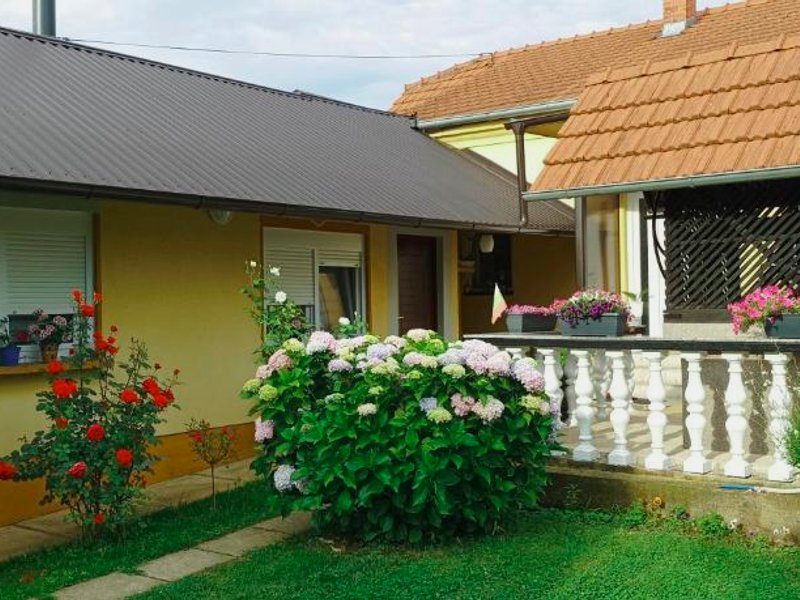 Dobrodošli (Dobrodosli)の写真