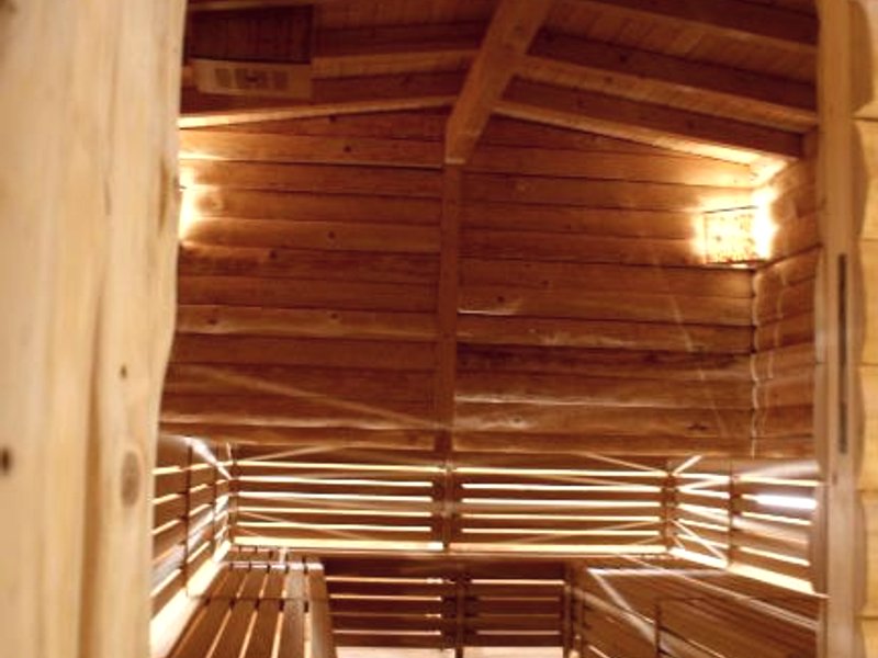Alpina Lodge Hotel Oberwiesenthalの写真