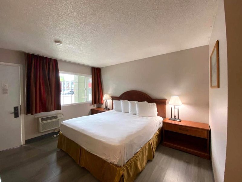 ユニバーシティ イン (University Inn)の写真
