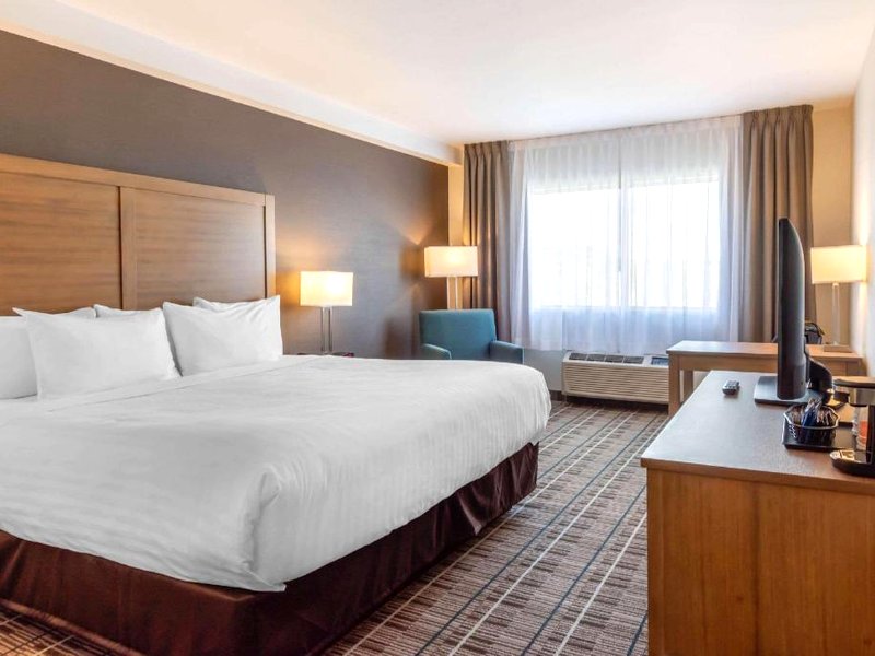 Quality Hotelの写真