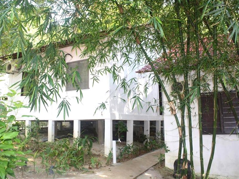 プルフンティアン トロピカーナ イン (Perhentian Tropicana Inn)の写真