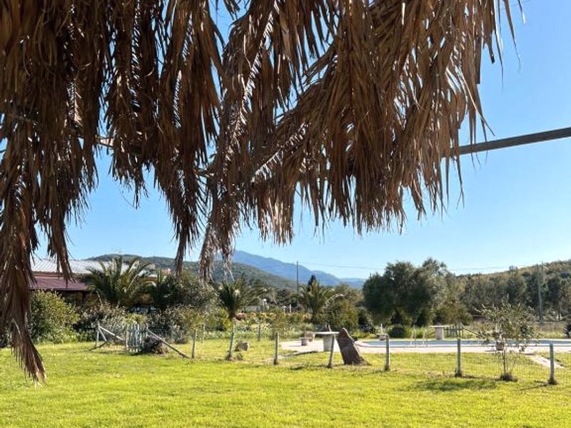 Agriturismo Su Niuの写真