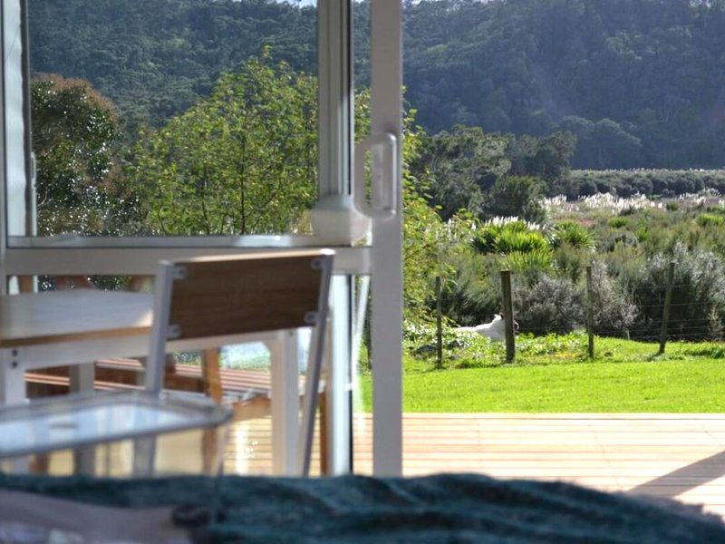 ［パラカイ］スタジオ 一軒家（20 m²）／1バスルーム (Manuka Views - Close to Thermal Hot Pools)の写真