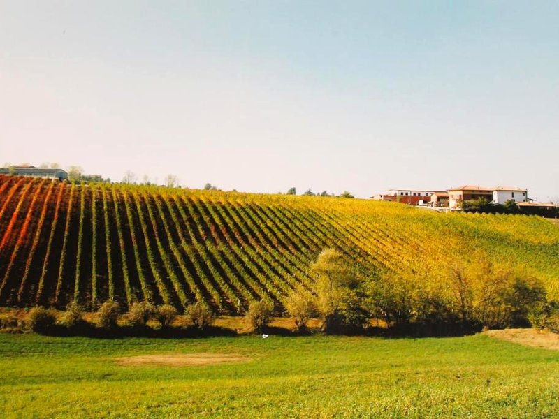Agriturismo Le Casetteの写真