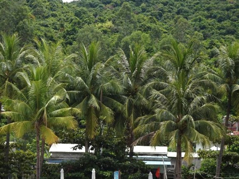 NGO KHANH Homestayの写真