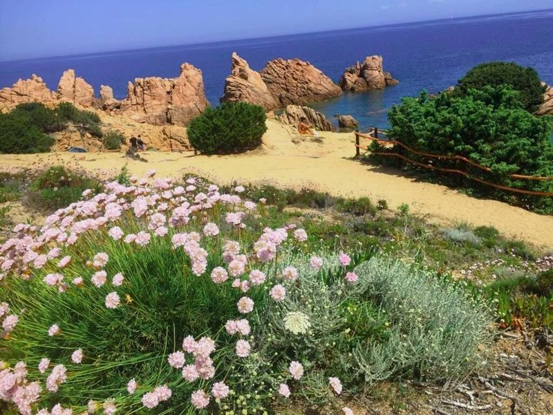 Villa Smeralda Costa Paradiso Sardinia holidaysの写真