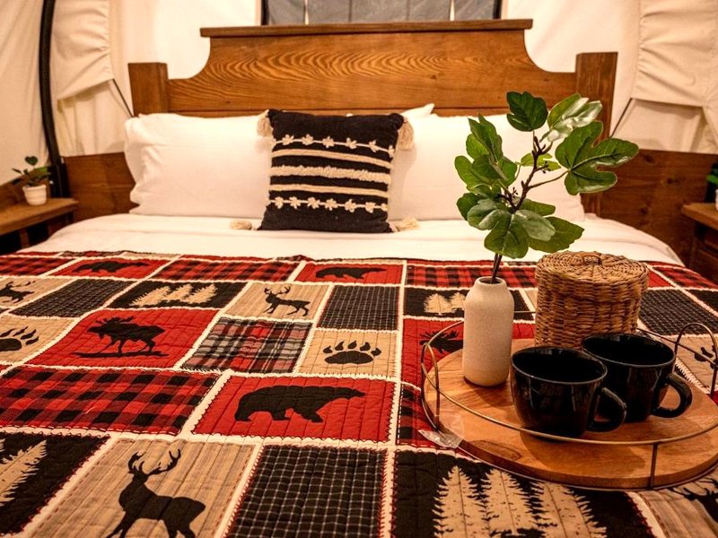 Unique Conestoga Glamping Wagon with King Bed & Private Bath | Bonners Ferry, Idaho Retreatの写真