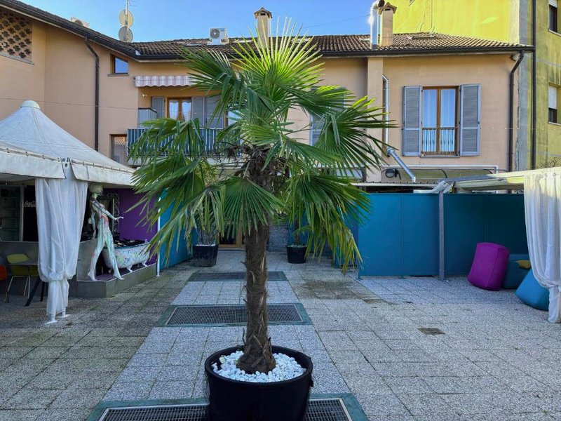 Le camere del Sal8 al Parcoの写真