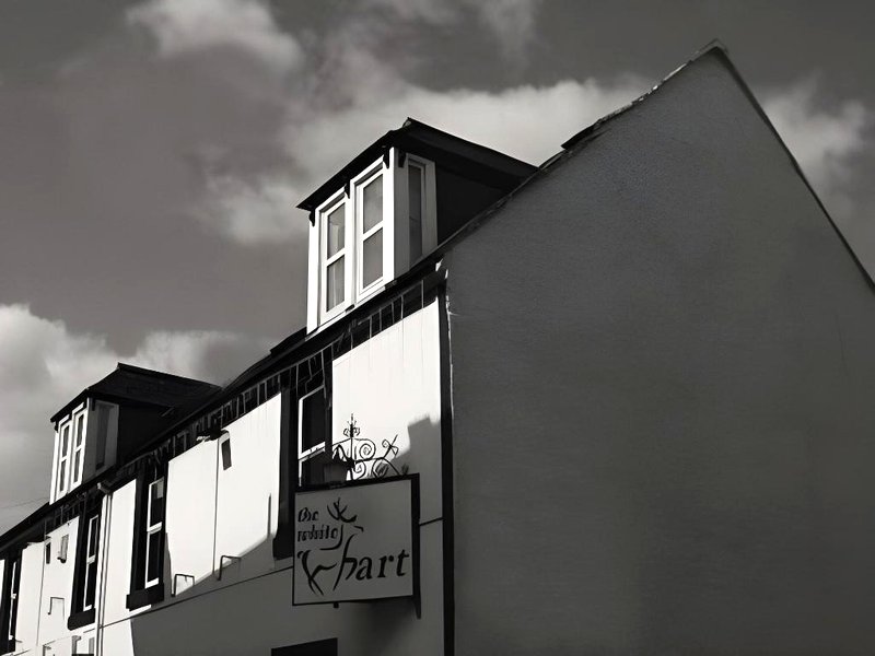 ホワイト ハート ホテル (White Hart Hotel)の写真
