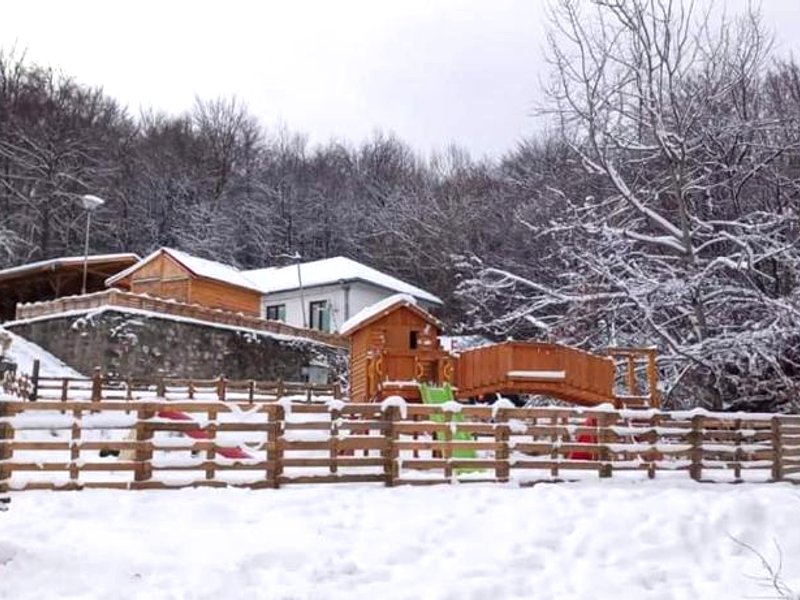 Bonsovi Poliani Hut (хижа Бонсови поляни)の写真