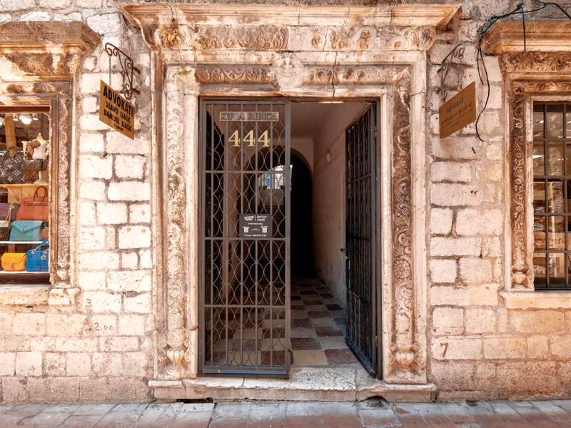 Kotor Nestの写真