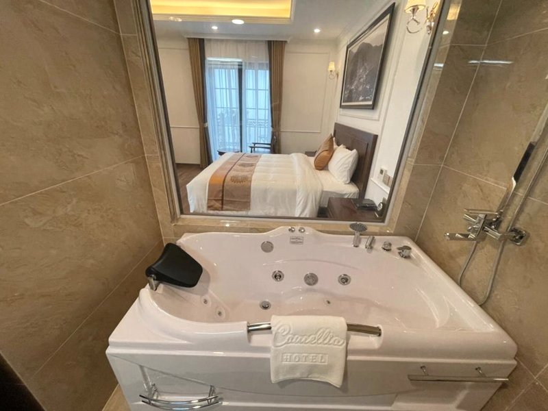 カメリア ラグジュアリー ホテル タムダオ (Camellia Luxury Hotel Tam Dao)の写真