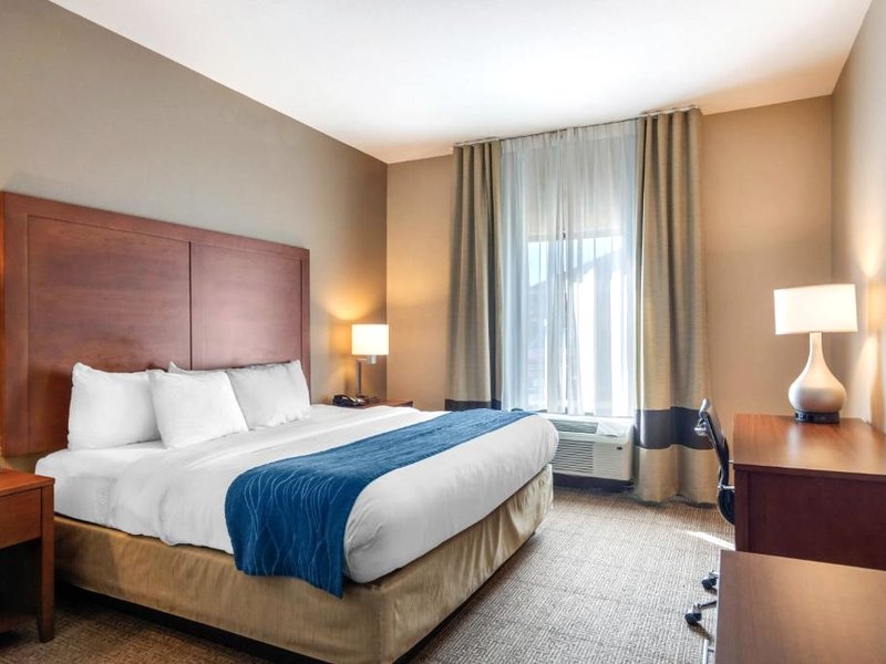 Comfort Inn Comfort Inn South Chesterfield - Colonial Heightsの写真
