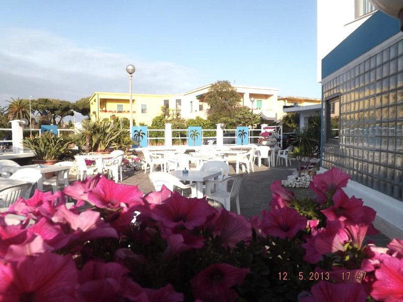 Hotel Le Palmeの写真