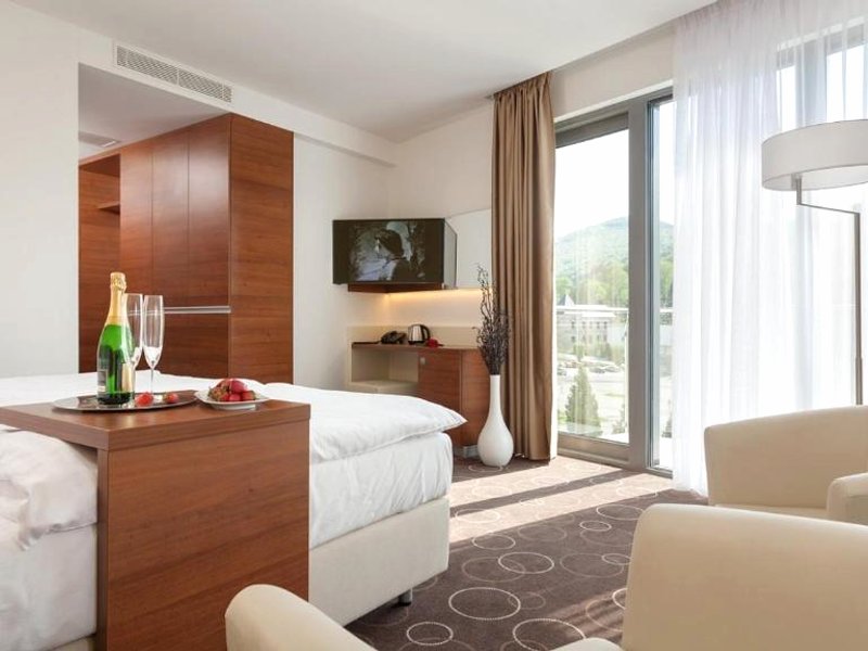 Wellness Hotel Panoramaの写真