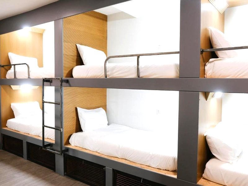 Cwtsh Hostelの写真
